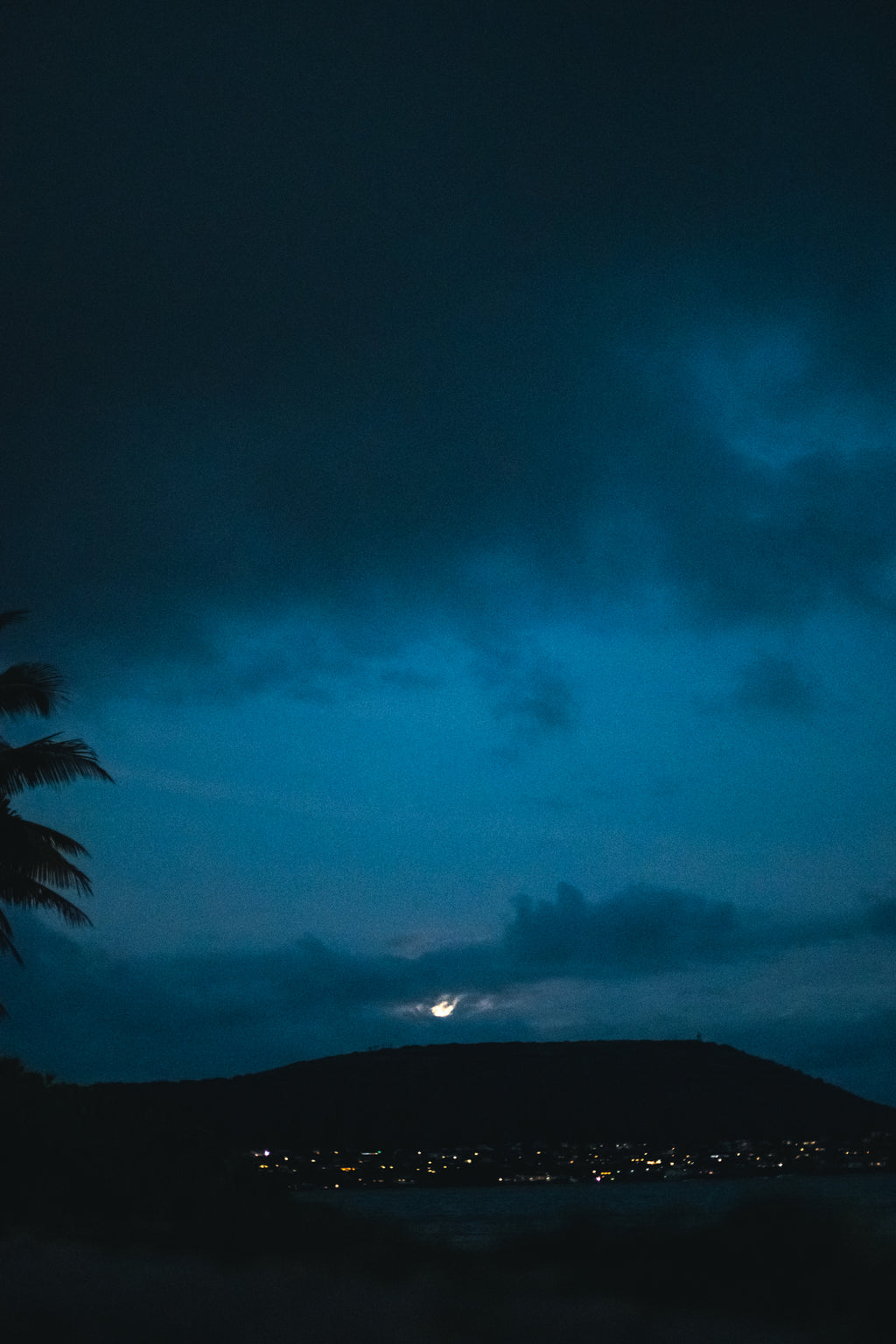Moon Asf Hilo ʻIa A Paʻa | Moon Phase Journal - purple - *ASF* – the kealopiko shop